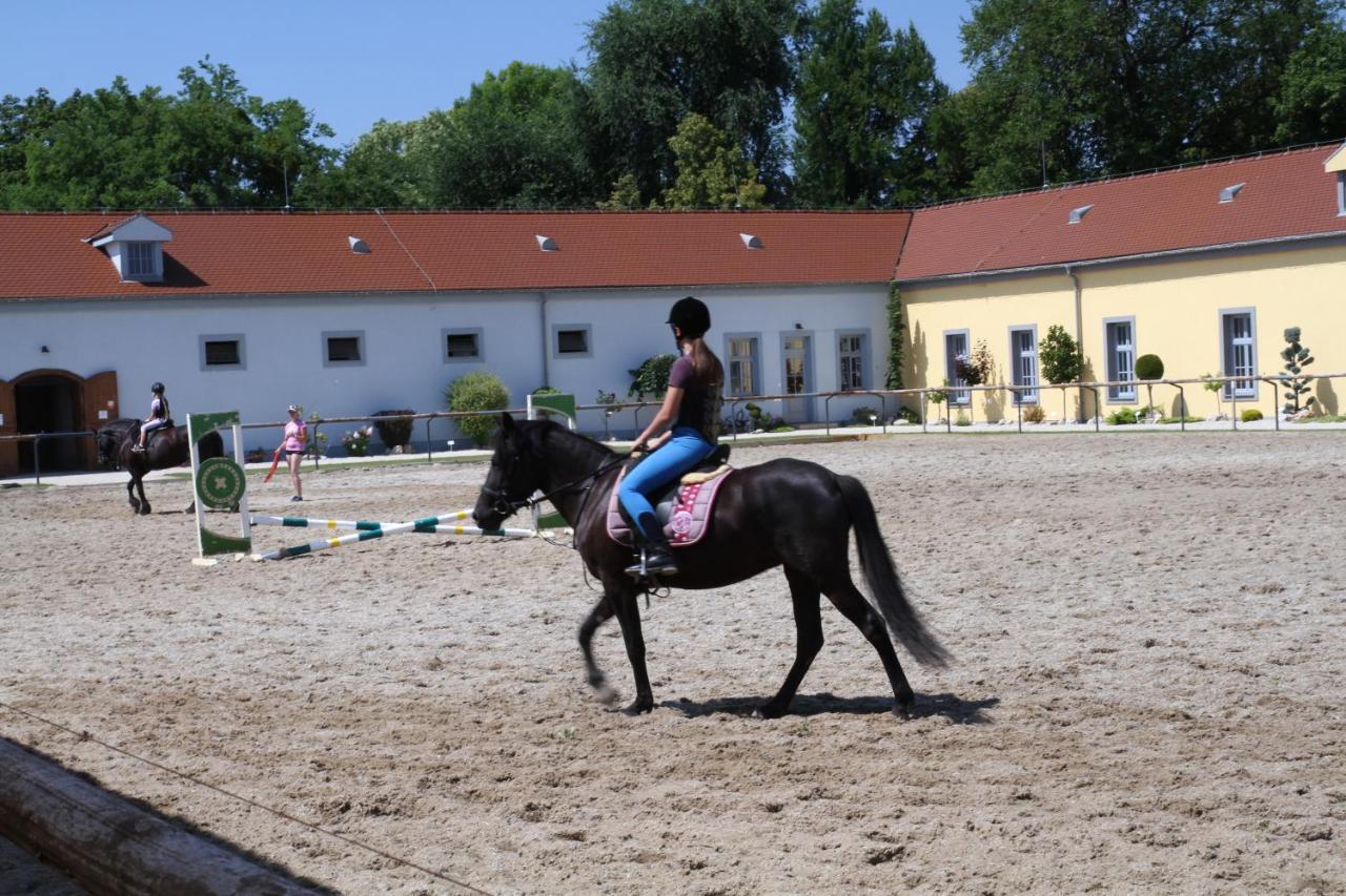 Wellness A Relax Centrum Tótmegyer Kültér fotó